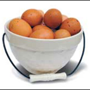 Free-Range Eggs: The Good Egg Image